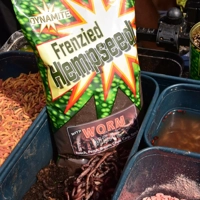 Dynamite Baits Frenzied Hemp Worm Groundbait 900g